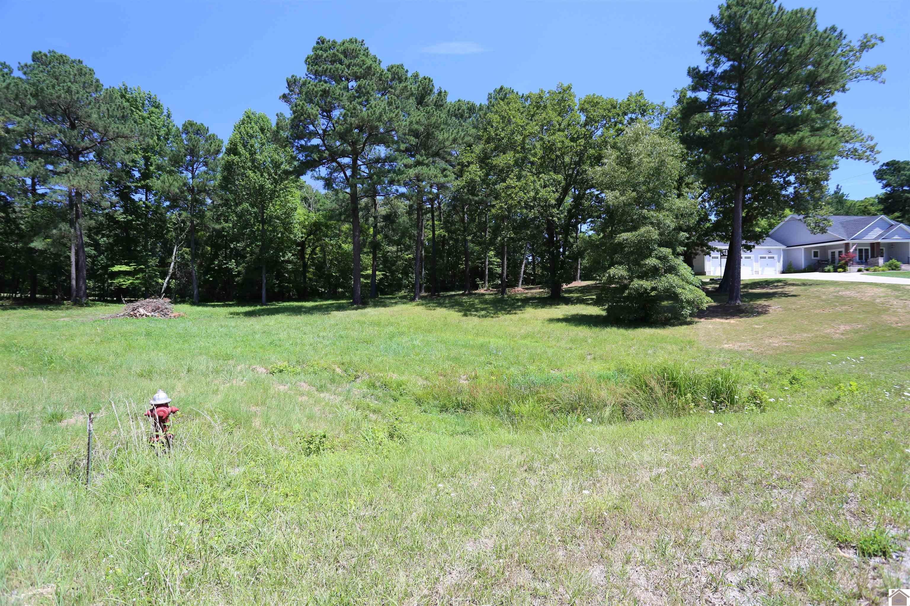 Lot #14 Pine View Drive, Benton, KY 42025 Listing Photo  1