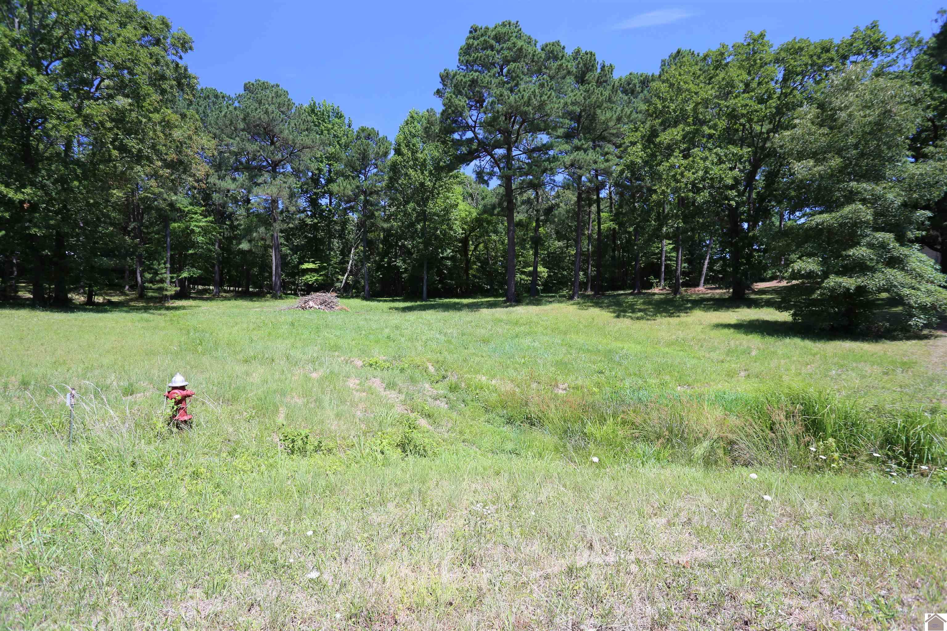 Lot #14 Pine View Drive, Benton, KY 42025 Listing Photo  2