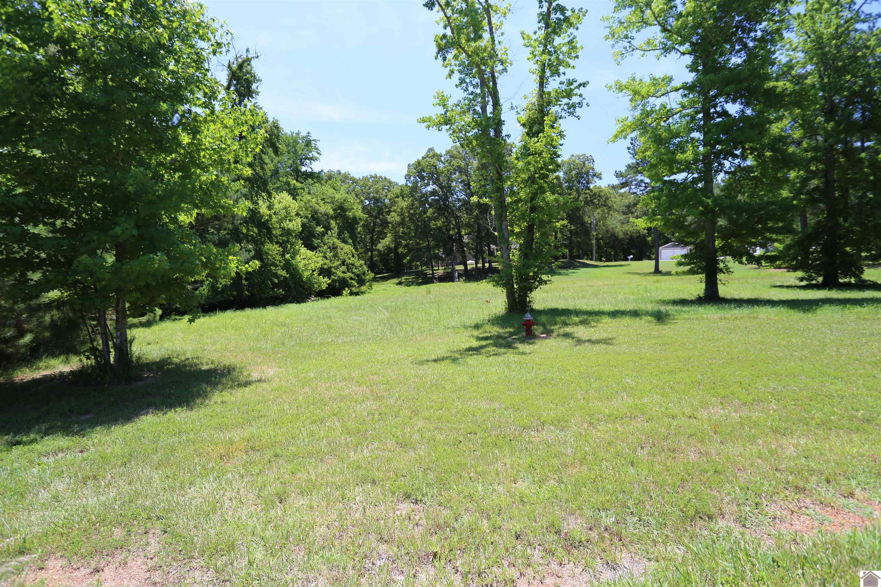 Lot #23 Pine View Drive, Benton, KY 42025 Listing Photo  2