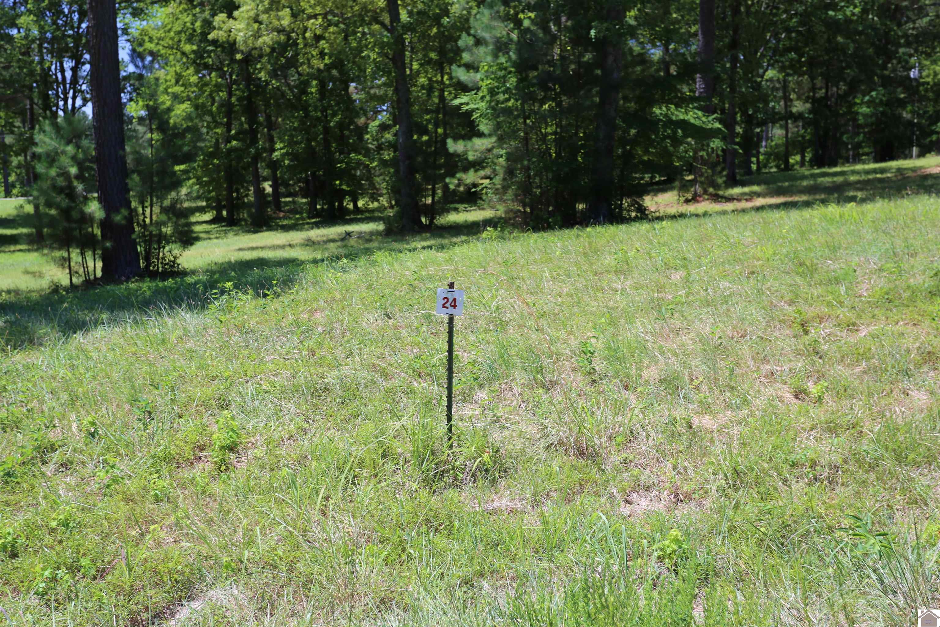 Lot #24 Pine View Drive, Benton, KY 42025 Listing Photo  1