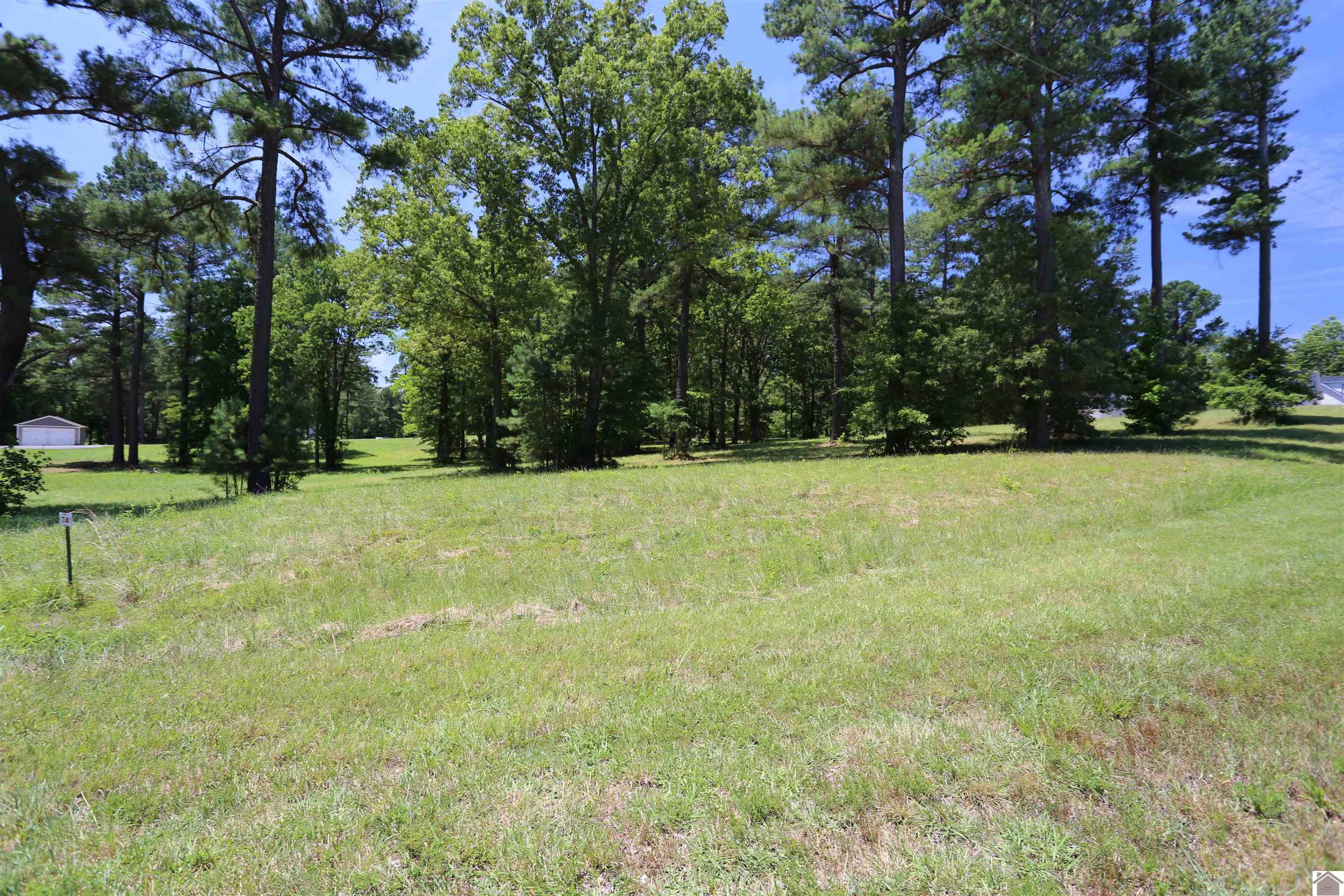 Lot #24 Pine View Drive, Benton, KY 42025 Listing Photo  2