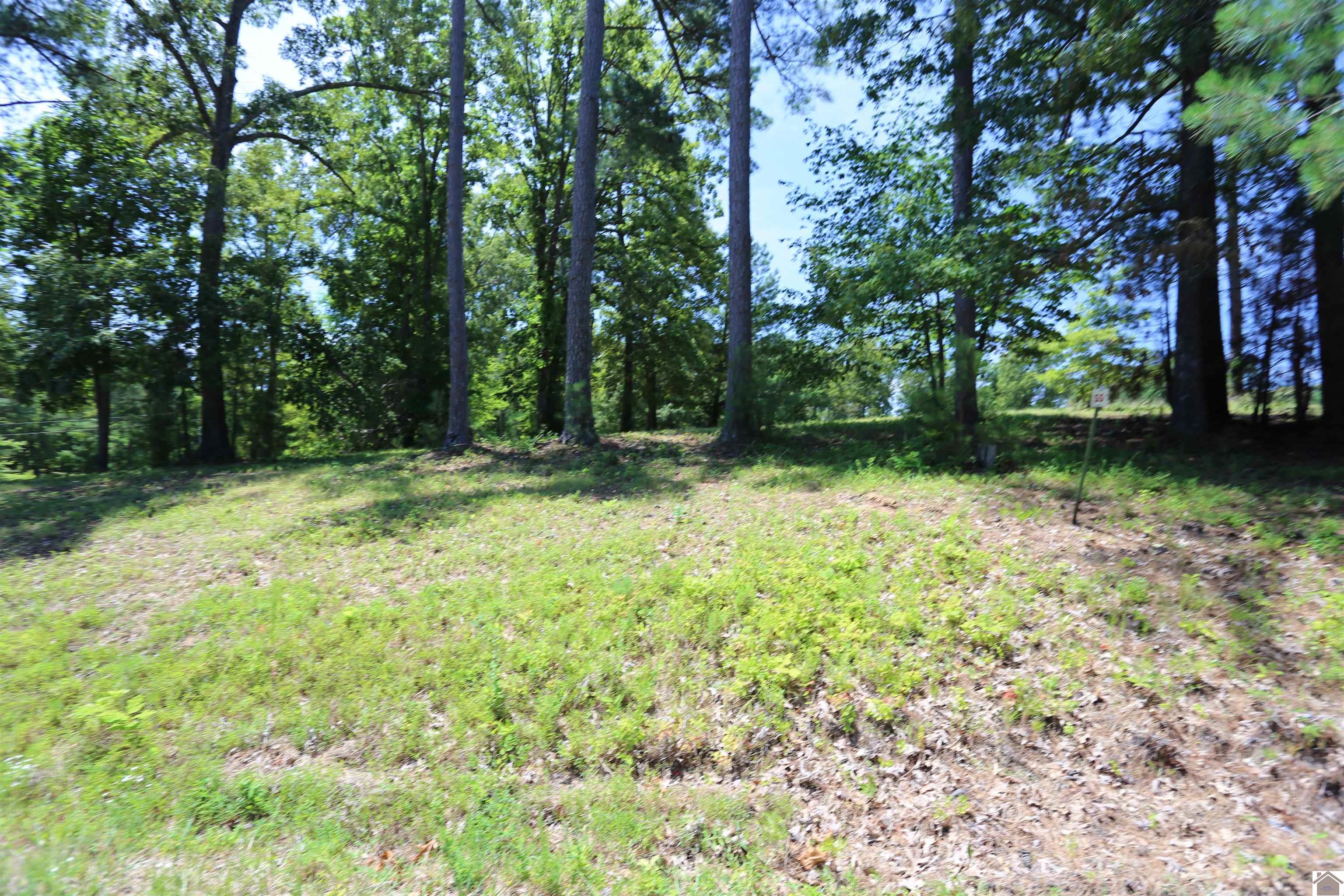 Lot #54 Pine View Drive, Benton, KY 42025 Listing Photo  1