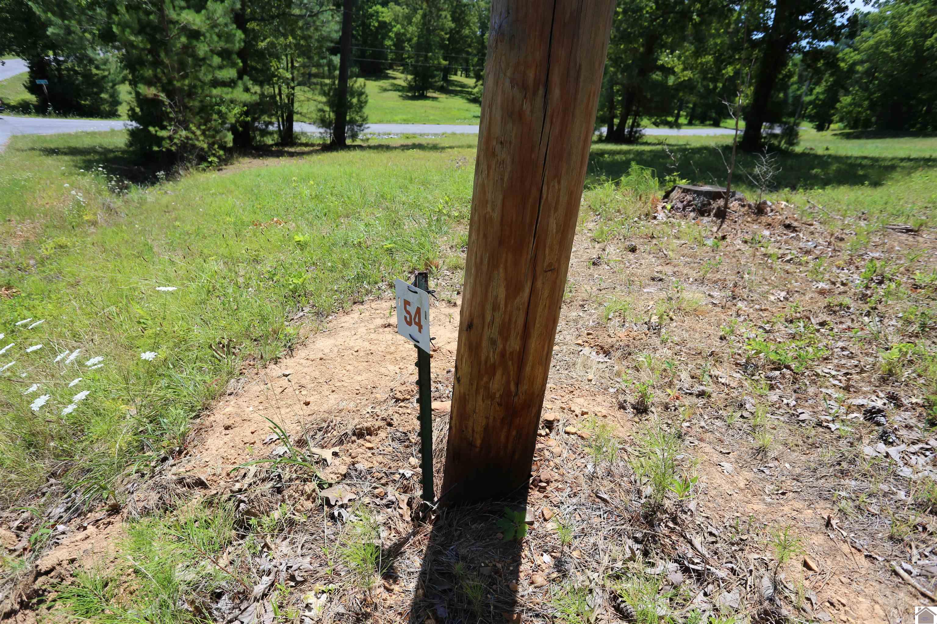 Lot #54 Pine View Drive, Benton, KY 42025 Listing Photo  2