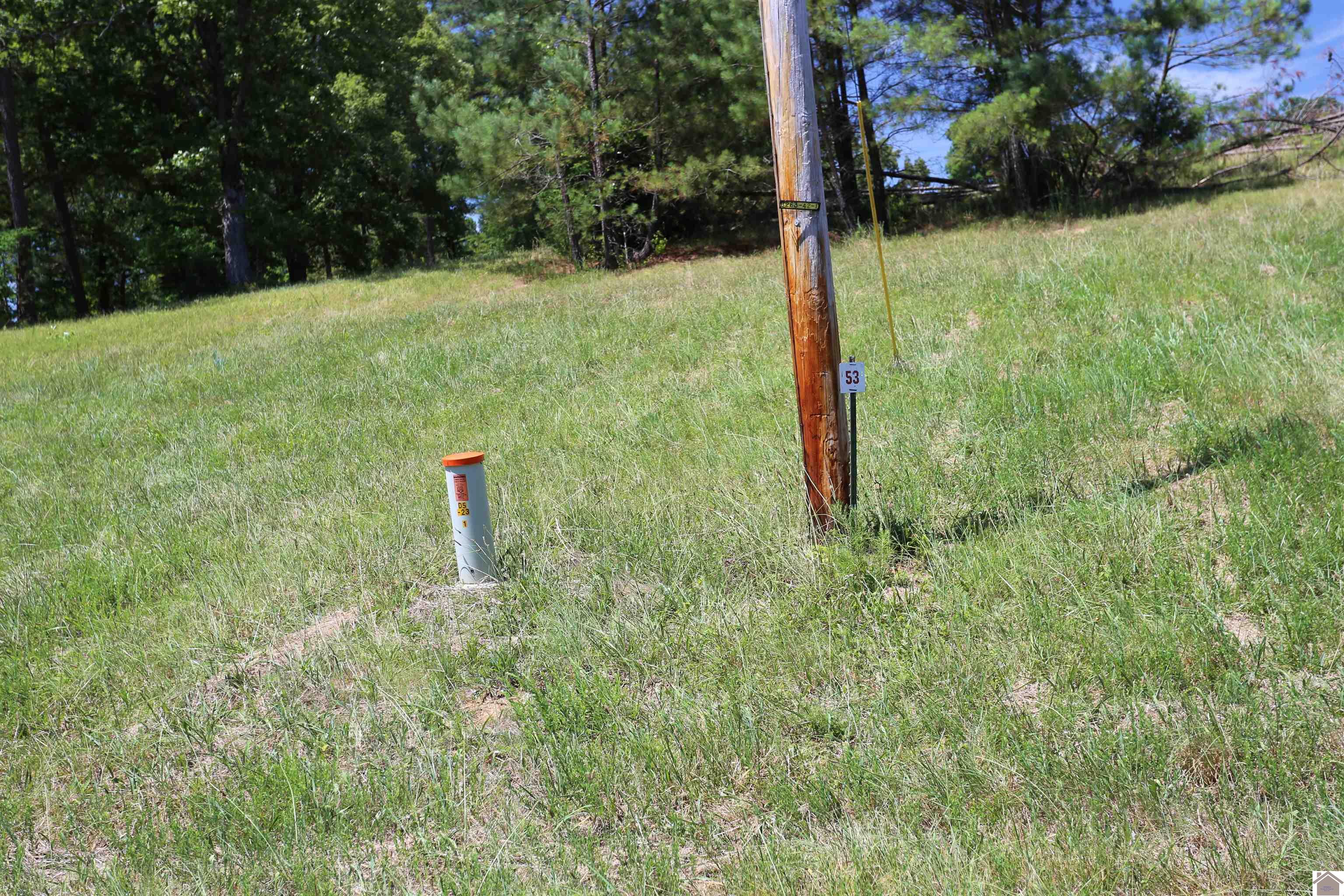 Lot #53 Doe Valley Drive, Benton, KY 42025 Listing Photo  1