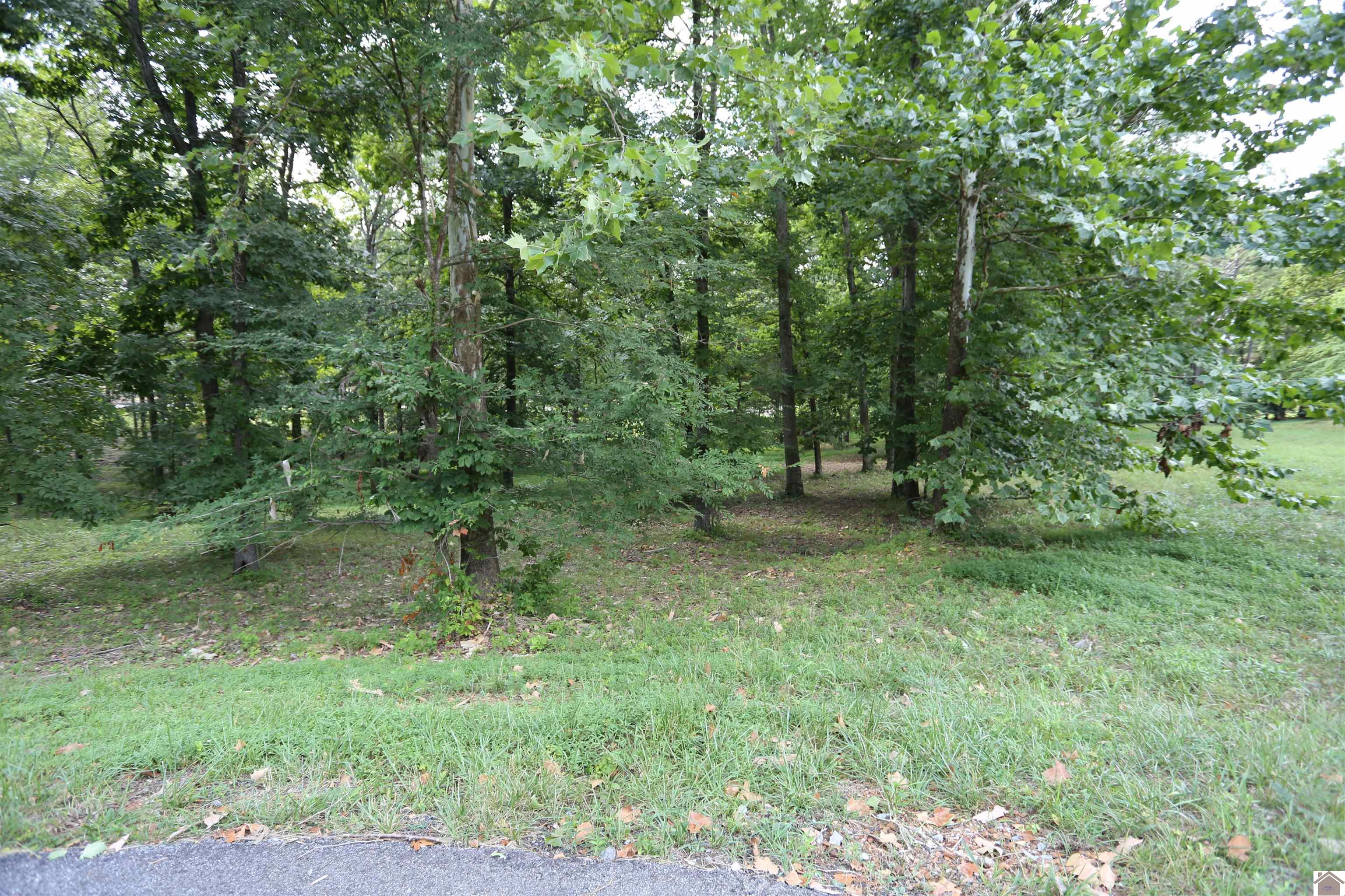 Lot #3 Pine View Drive, Benton, KY 42025 Listing Photo  1