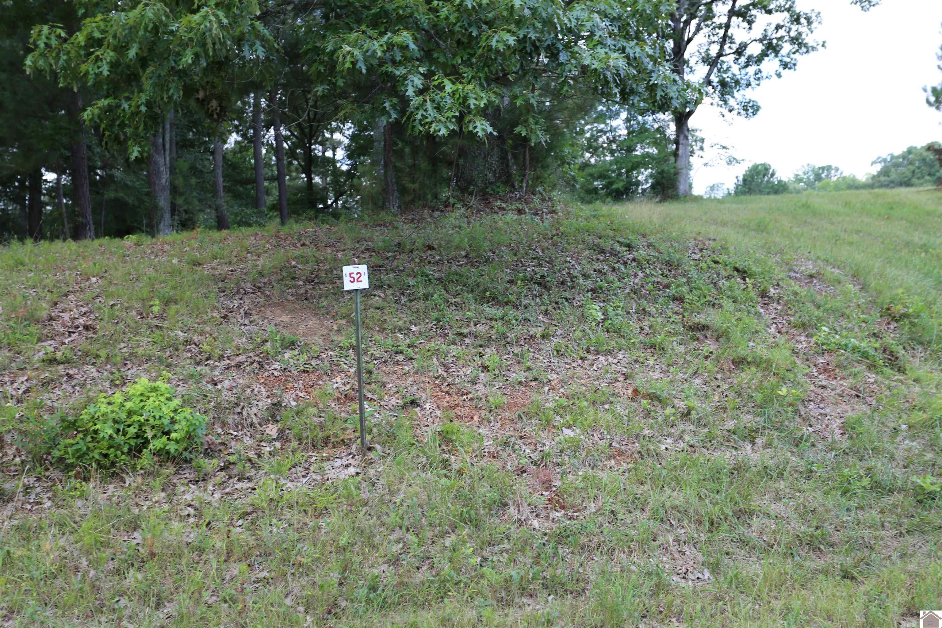 Lot #52 Doe Valley Drive, Benton, KY 42025 Listing Photo  1