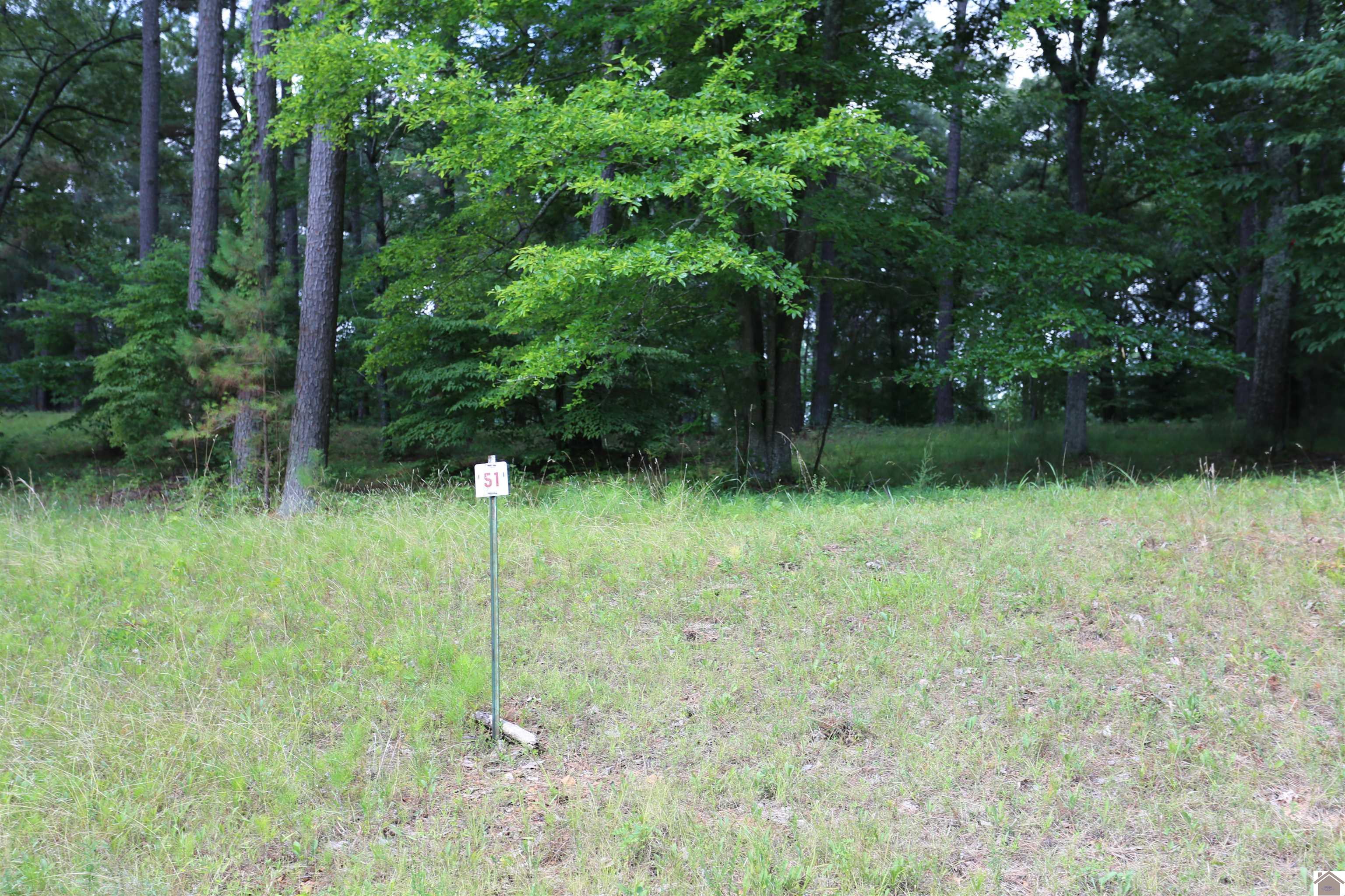 Lot #51 Doe Valley Drive, Benton, KY 42025 Listing Photo  1