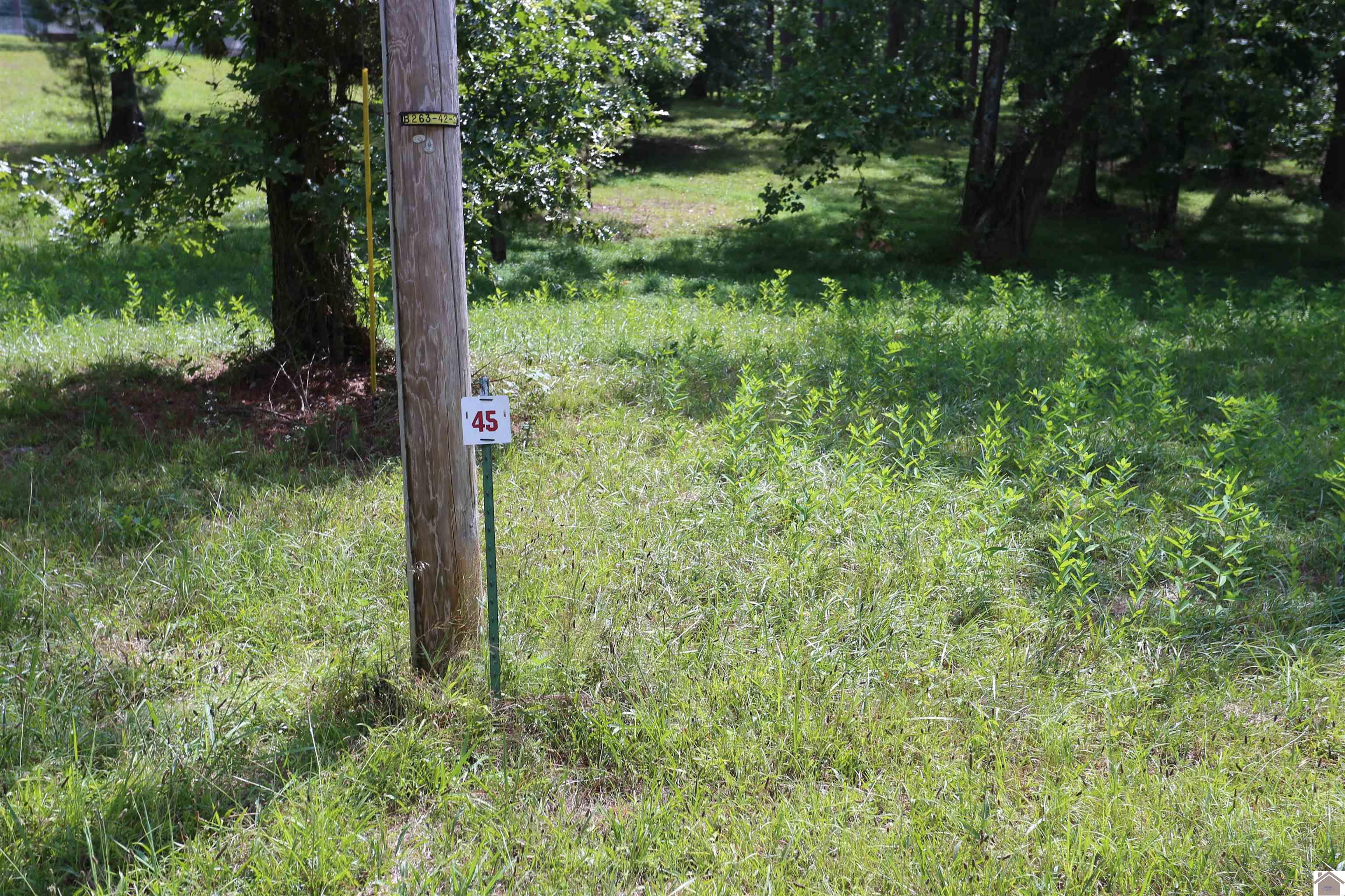 Lot #45 Doe Valley Drive, Benton, KY 42025 Listing Photo  1