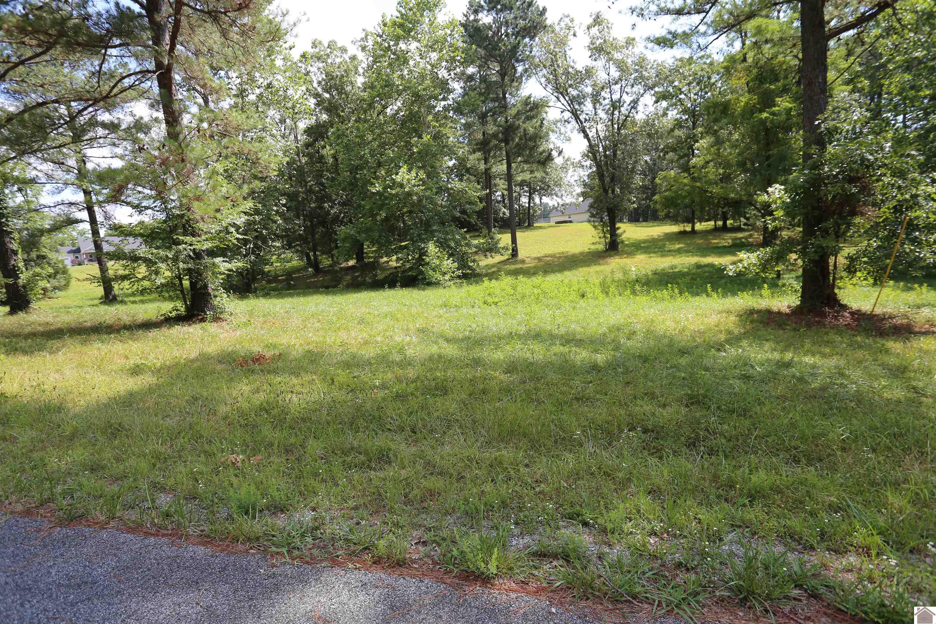 Lot #44 Doe Valley Drive, Benton, KY 42025 Listing Photo  1