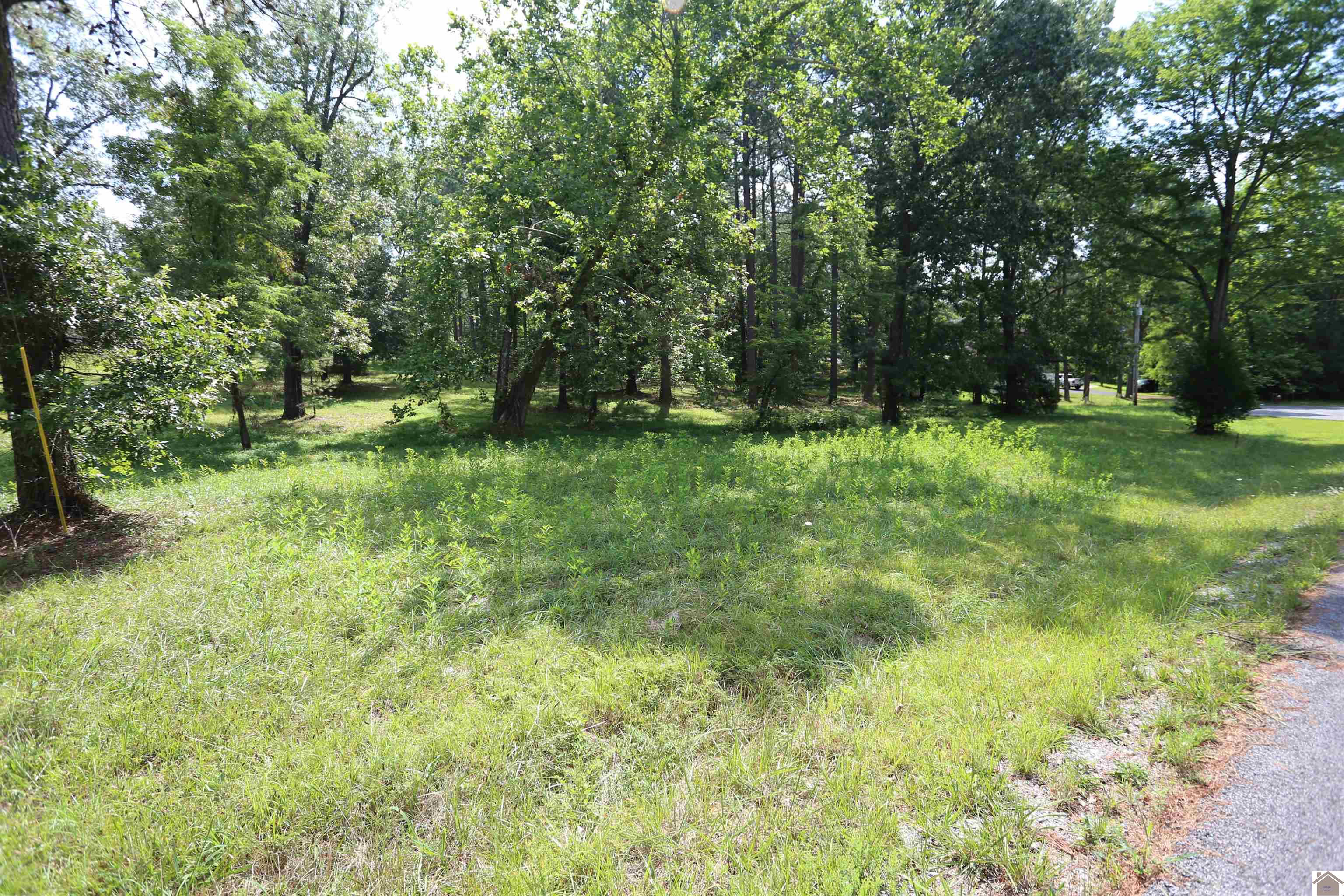 Lot #44 Doe Valley Drive, Benton, KY 42025 Listing Photo  2