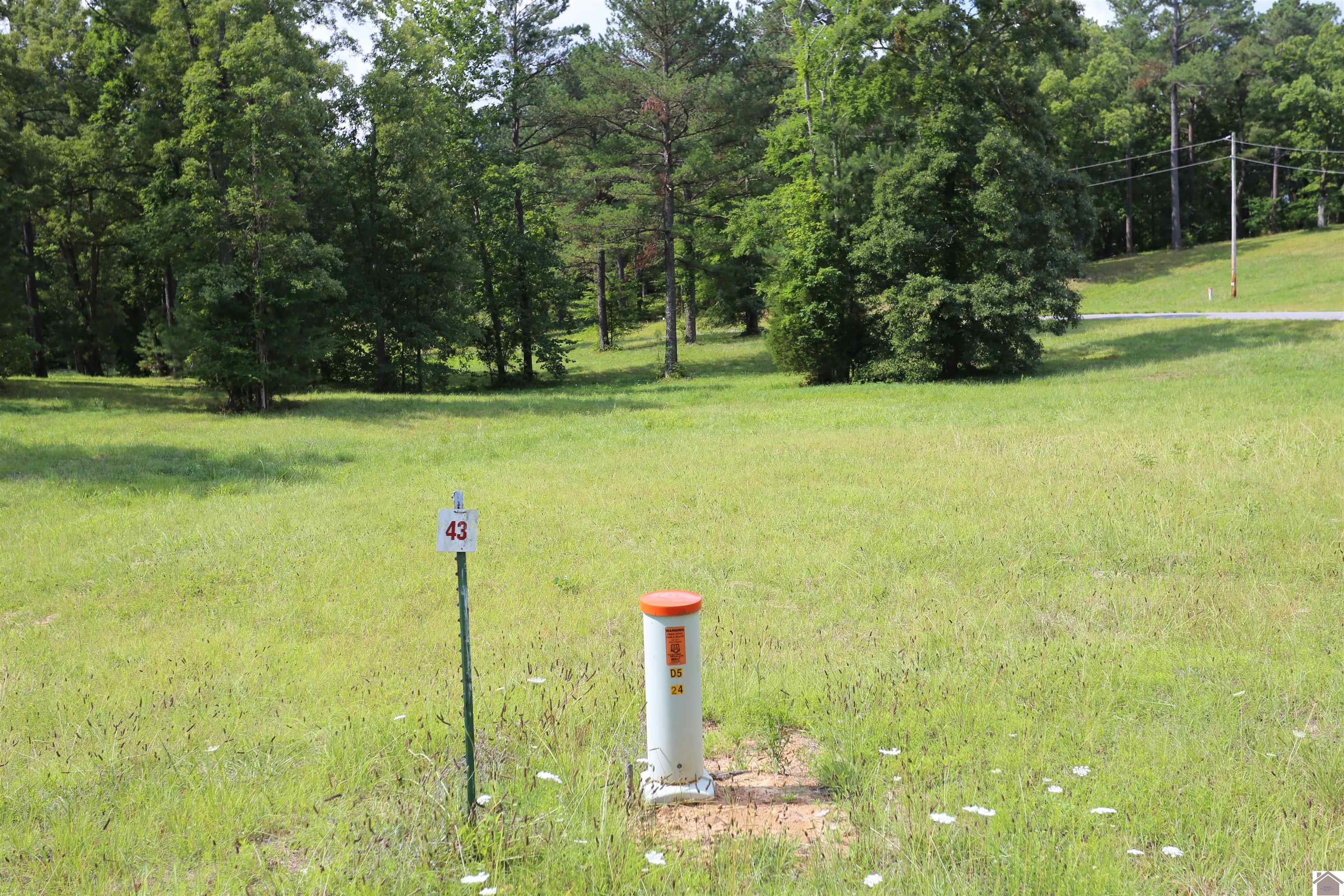 Lot #43 Pine View Drive, Benton, KY 42025 Listing Photo  1