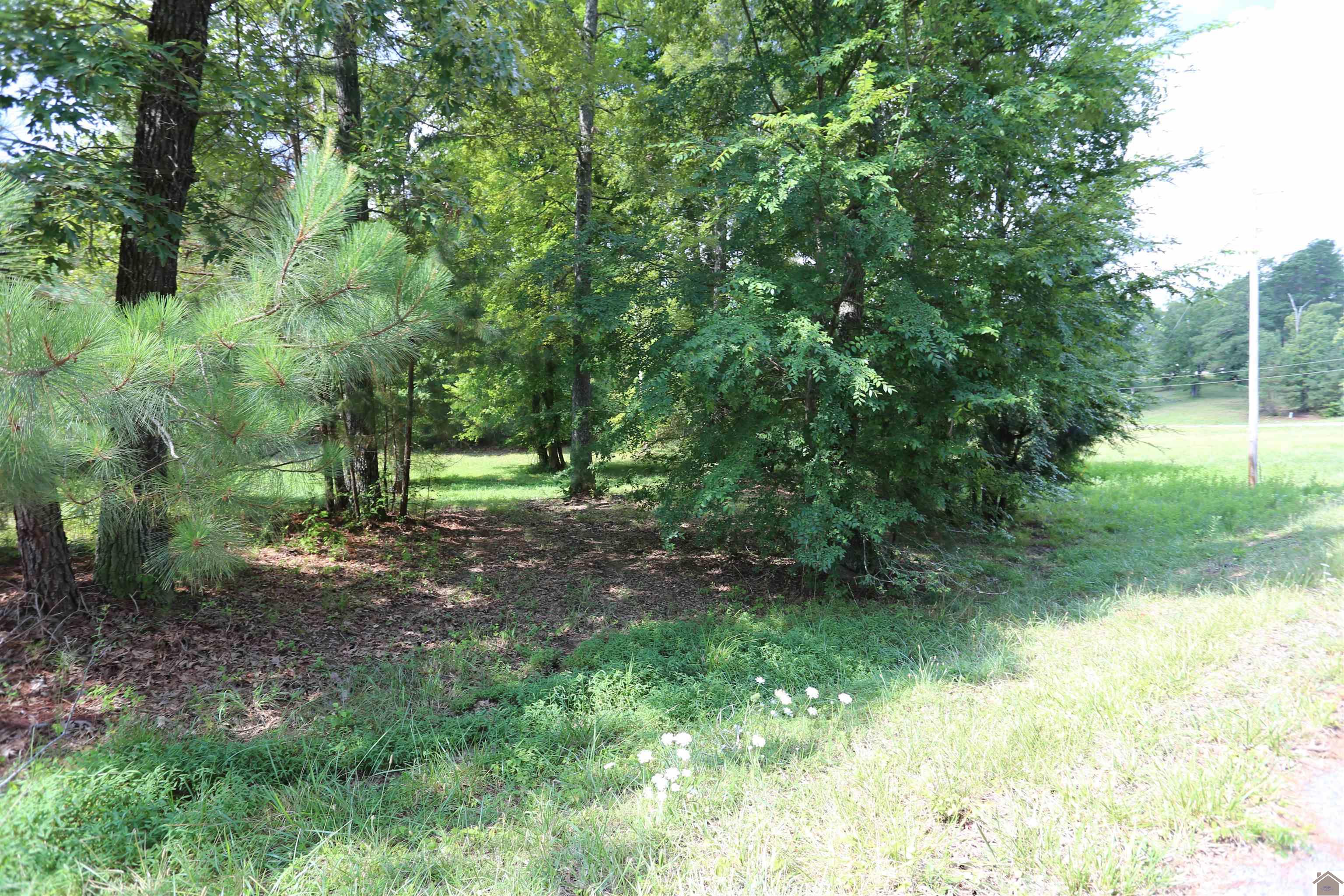 Lot #41 Pine View Drive, Benton, KY 42025 Listing Photo  2