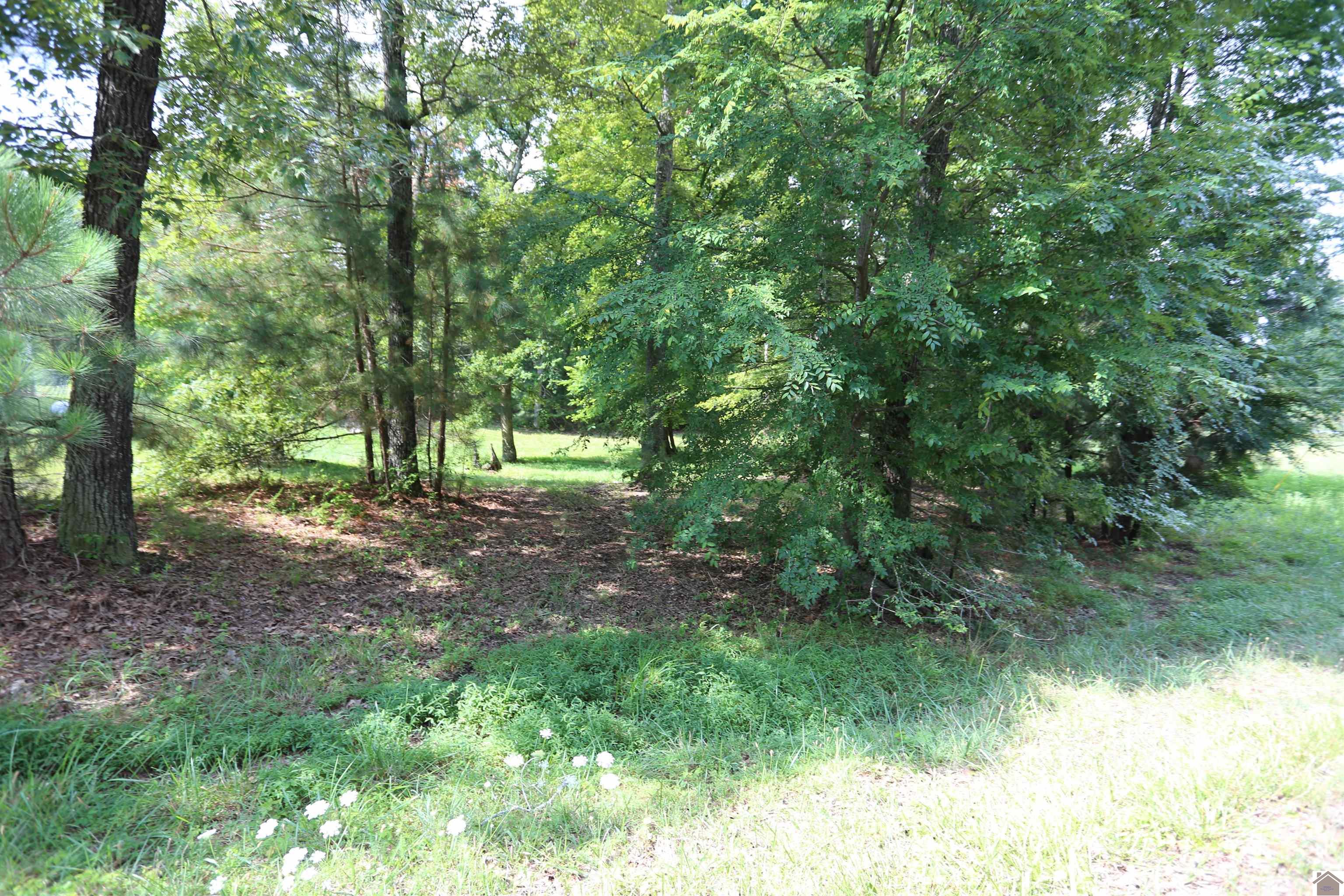 Lot #41 Pine View Drive, Benton, KY 42025 Listing Photo  3