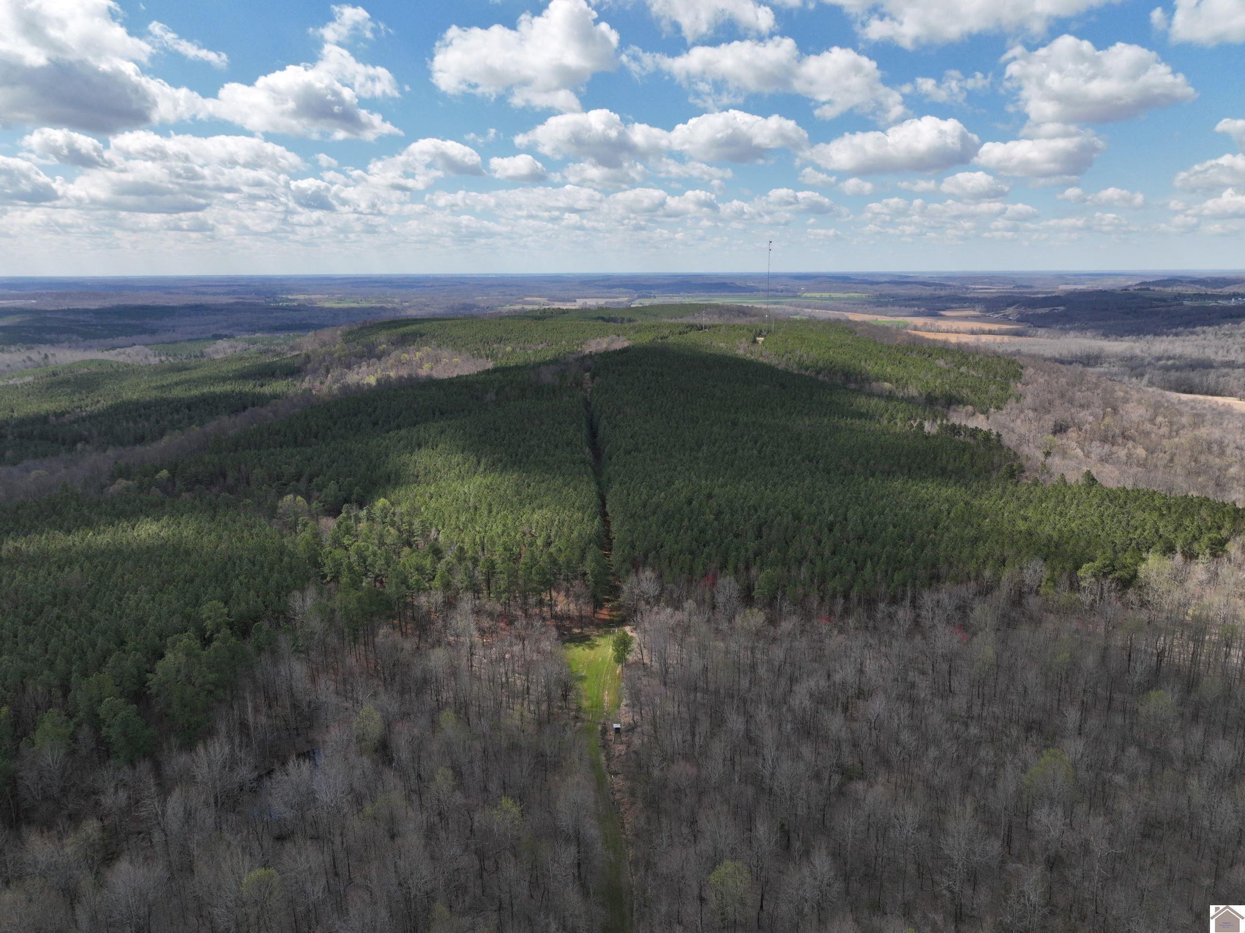 000 Cedar Grove Road Salem, Kentucky 42078 120189 Paducah Kentucky Commercial