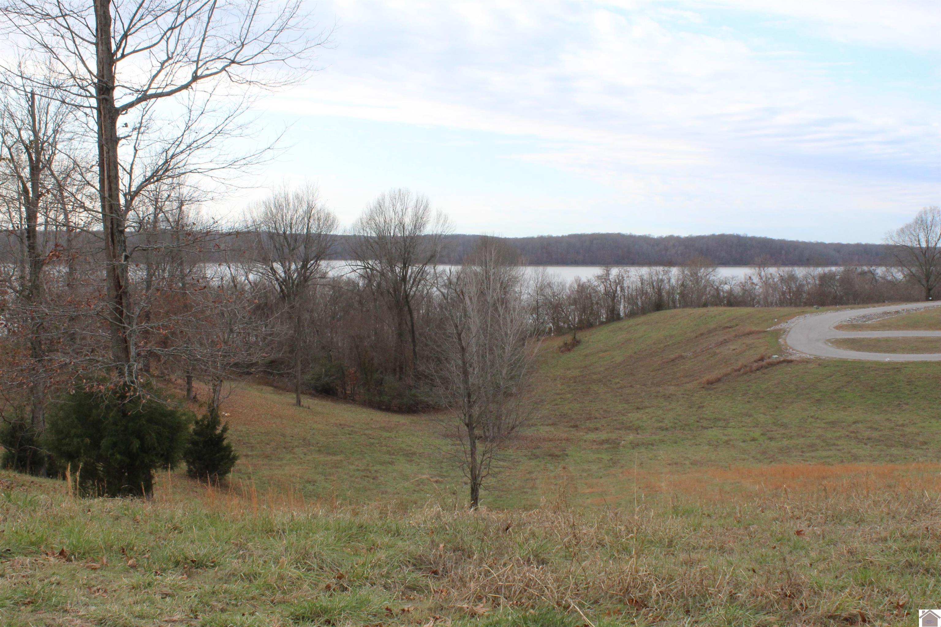 Lot 34 Oak View Lane, Eddyville, KY 42038 Listing Photo  3