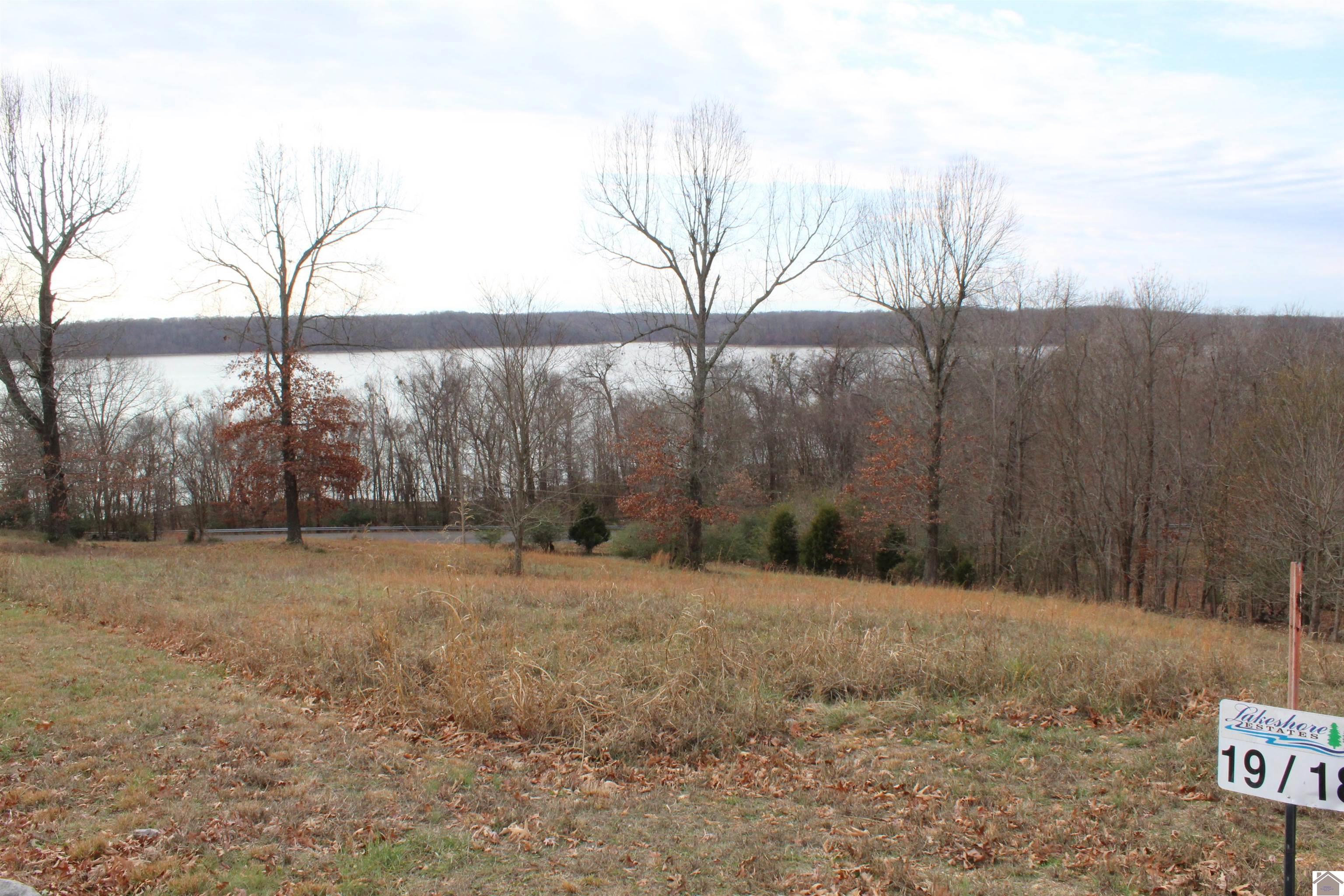 Lot 19 Oak View Lane, Eddyville, KY 42038 Listing Photo  1