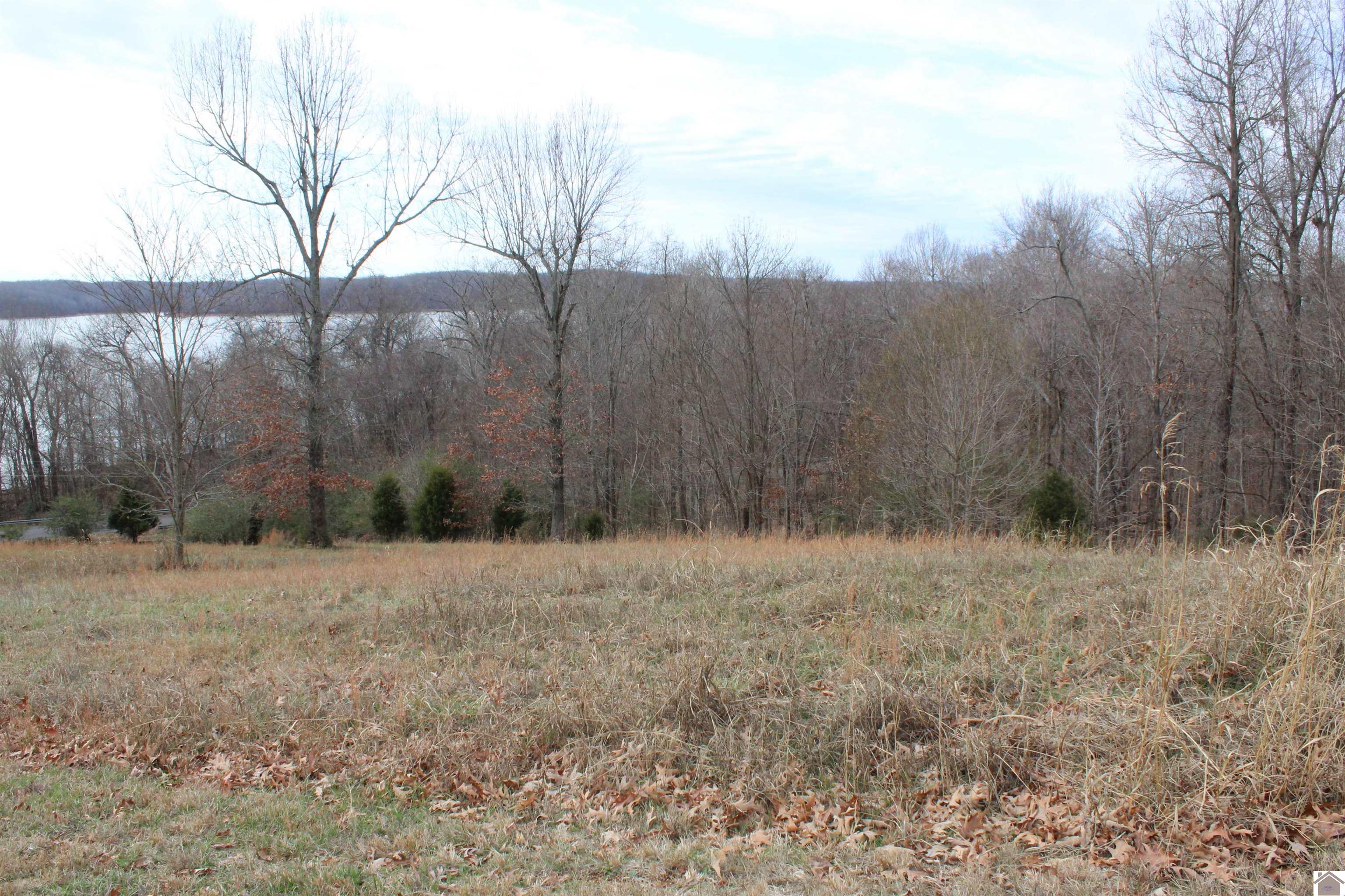 Lot 19 Oak View Lane, Eddyville, KY 42038 Listing Photo  2