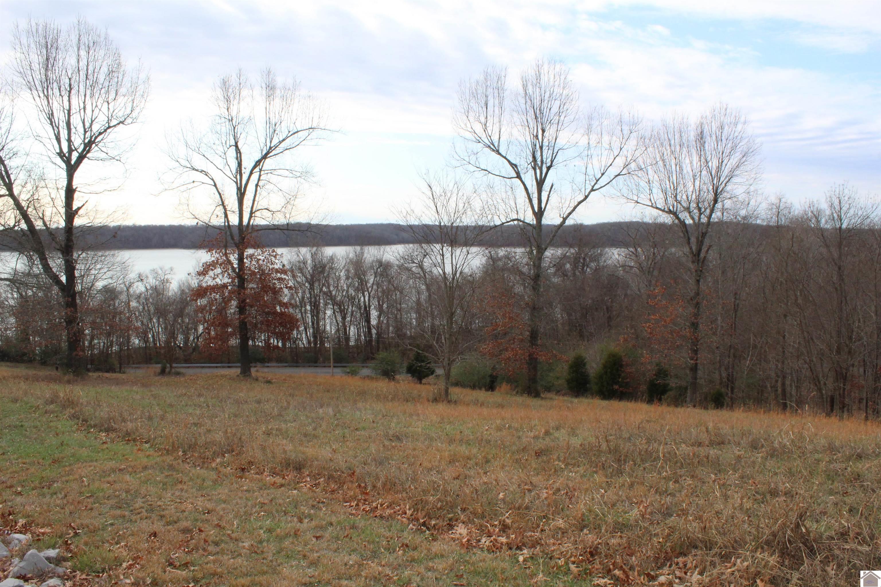 Lot 19 Oak View Lane, Eddyville, KY 42038 Listing Photo  3