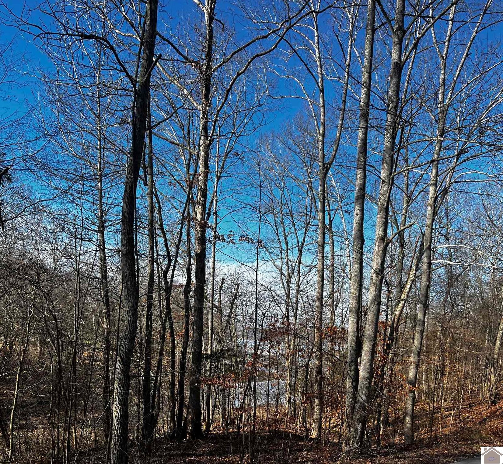 Lot 36 Canton Heights 2 Circle, Cadiz, KY 42211 Listing Photo  1
