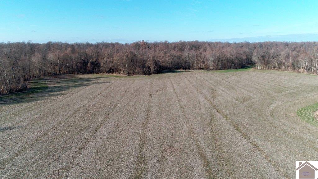 County Road 1220, Bardwell, KY 42023 Listing Photo  2