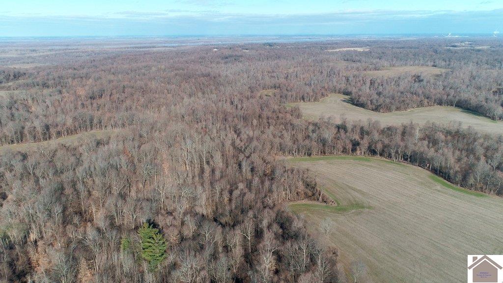 County Road 1220, Bardwell, KY 42023 Listing Photo  11