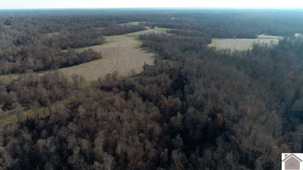 County Road 1220, Bardwell, KY 42023 Listing Photo  13