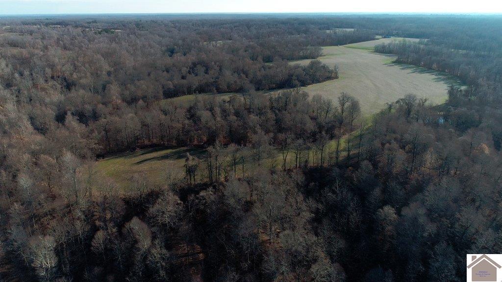 County Road 1220, Bardwell, KY 42023 Listing Photo  14