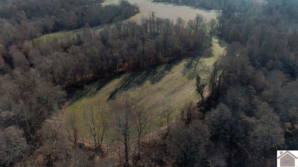 County Road 1220, Bardwell, KY 42023 Listing Photo  15
