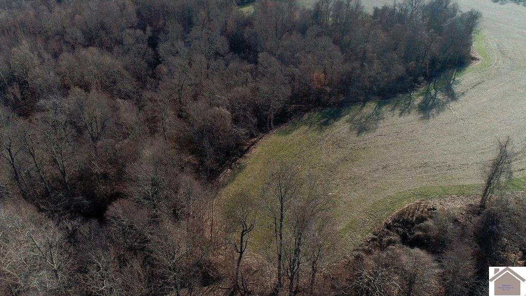 County Road 1220, Bardwell, KY 42023 Listing Photo  16