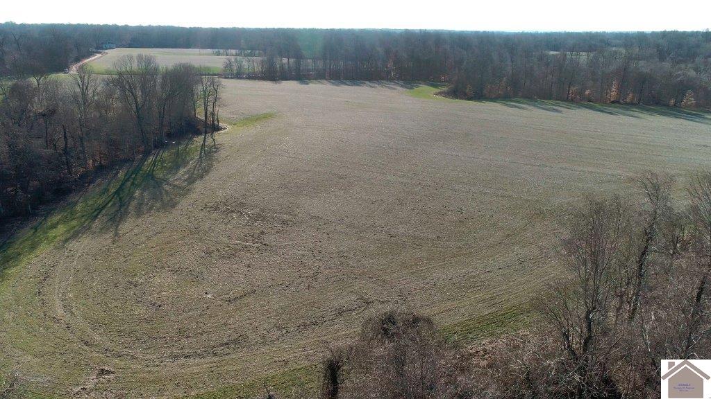 County Road 1220, Bardwell, KY 42023 Listing Photo  17