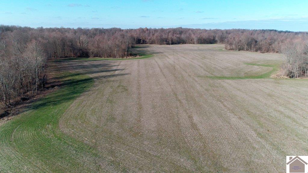 County Road 1220, Bardwell, KY 42023 Listing Photo  20