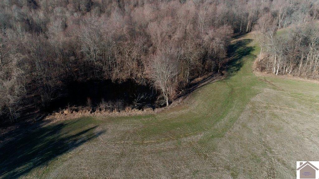 County Road 1220, Bardwell, KY 42023 Listing Photo  3