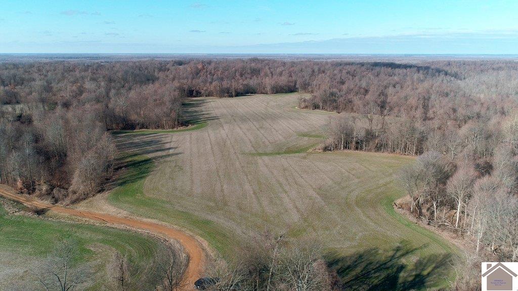 County Road 1220, Bardwell, KY 42023 Listing Photo  21
