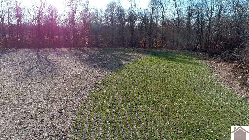 County Road 1220, Bardwell, KY 42023 Listing Photo  23