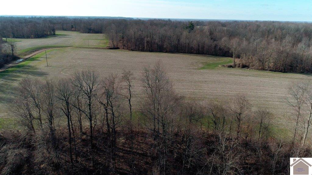 County Road 1220, Bardwell, KY 42023 Listing Photo  24