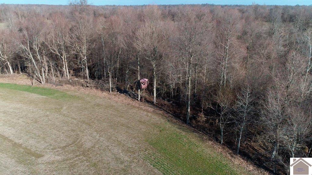 County Road 1220, Bardwell, KY 42023 Listing Photo  25