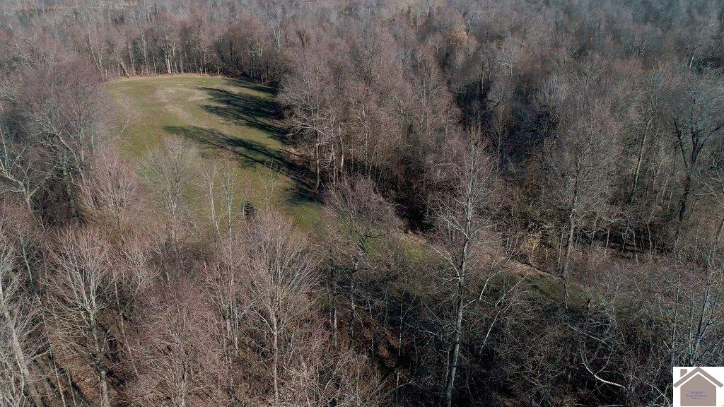 County Road 1220, Bardwell, KY 42023 Listing Photo  27