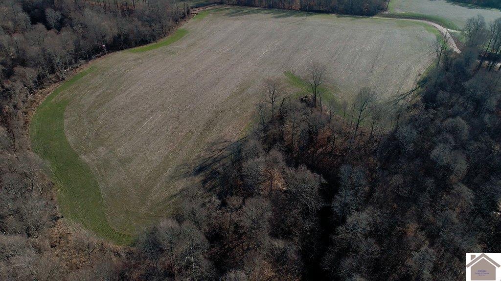 County Road 1220, Bardwell, KY 42023 Listing Photo  29