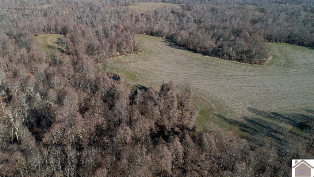 County Road 1220, Bardwell, KY 42023 Listing Photo  30