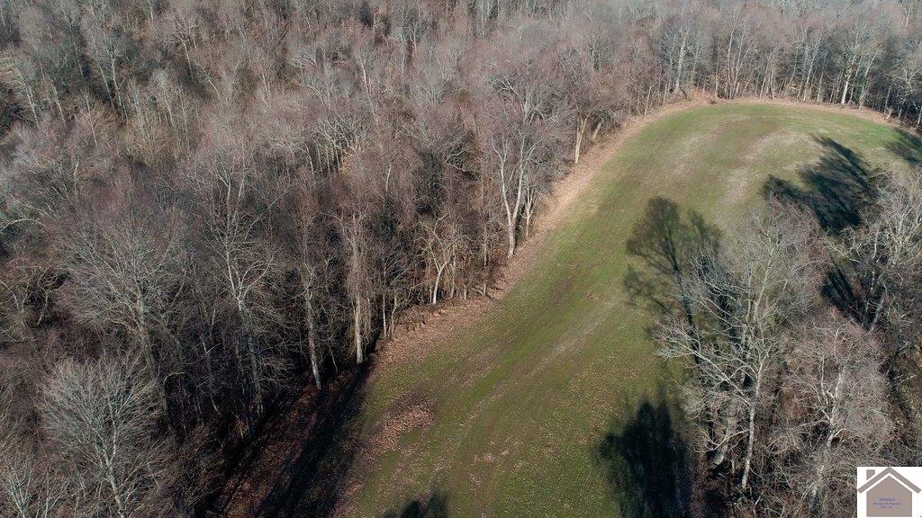 County Road 1220, Bardwell, KY 42023 Listing Photo  4