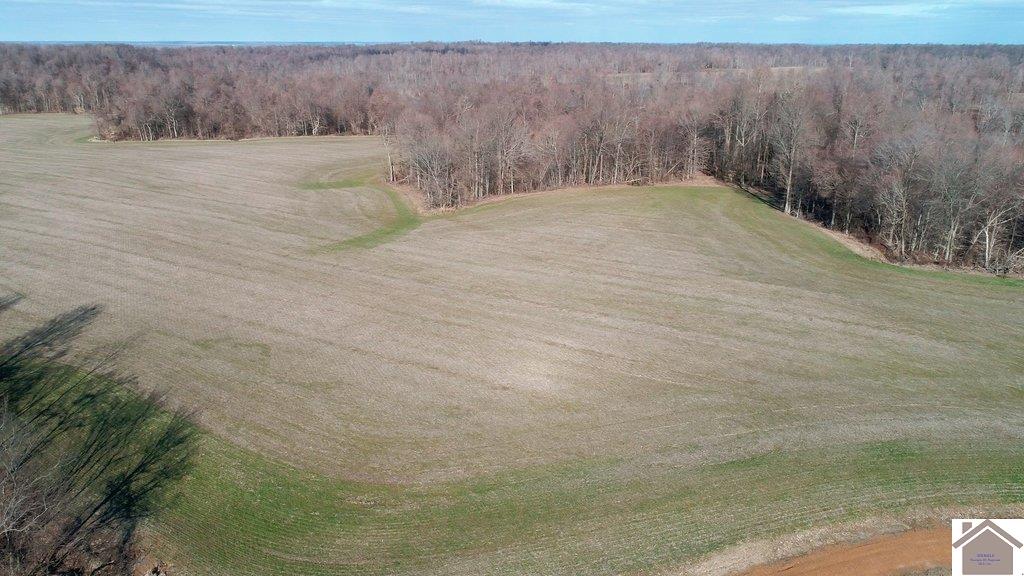 County Road 1220, Bardwell, KY 42023 Listing Photo  31
