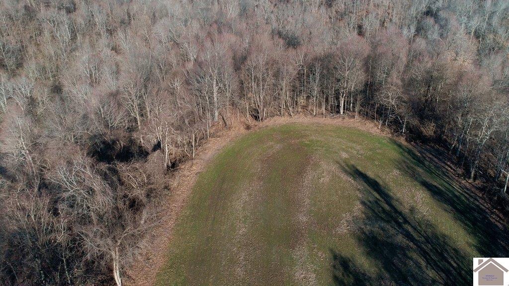 County Road 1220, Bardwell, KY 42023 Listing Photo  5