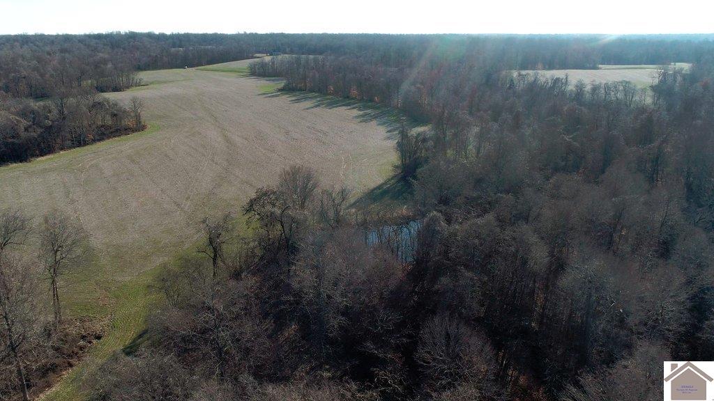 County Road 1220, Bardwell, KY 42023 Listing Photo  6