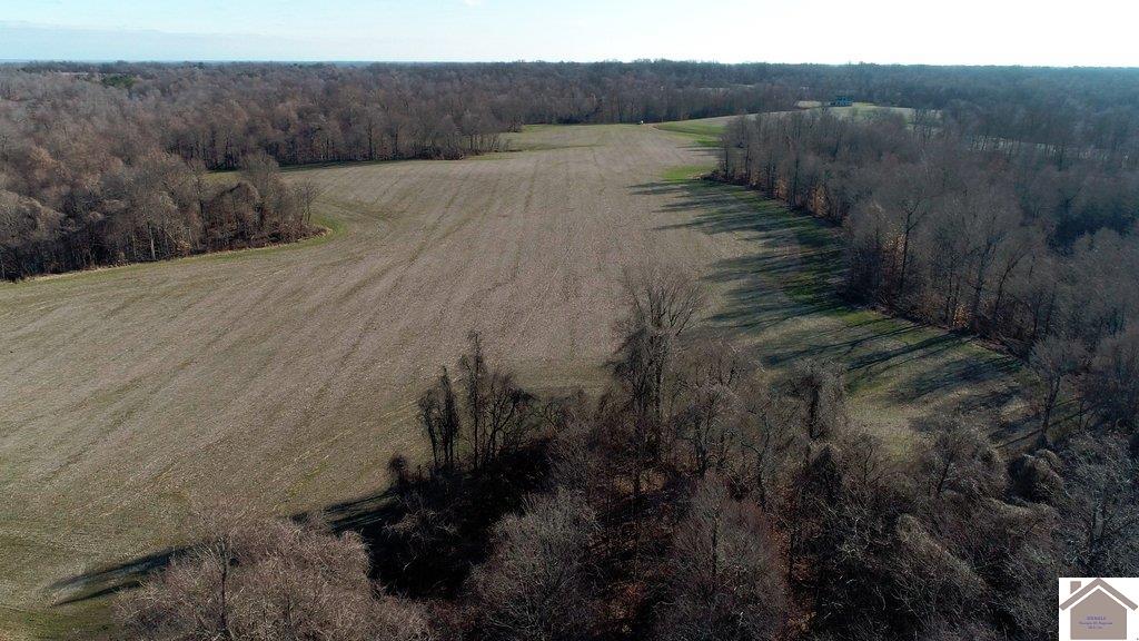 County Road 1220, Bardwell, KY 42023 Listing Photo  7