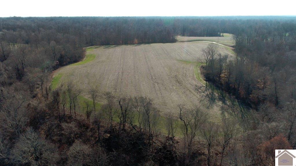 County Road 1220, Bardwell, KY 42023 Listing Photo  8