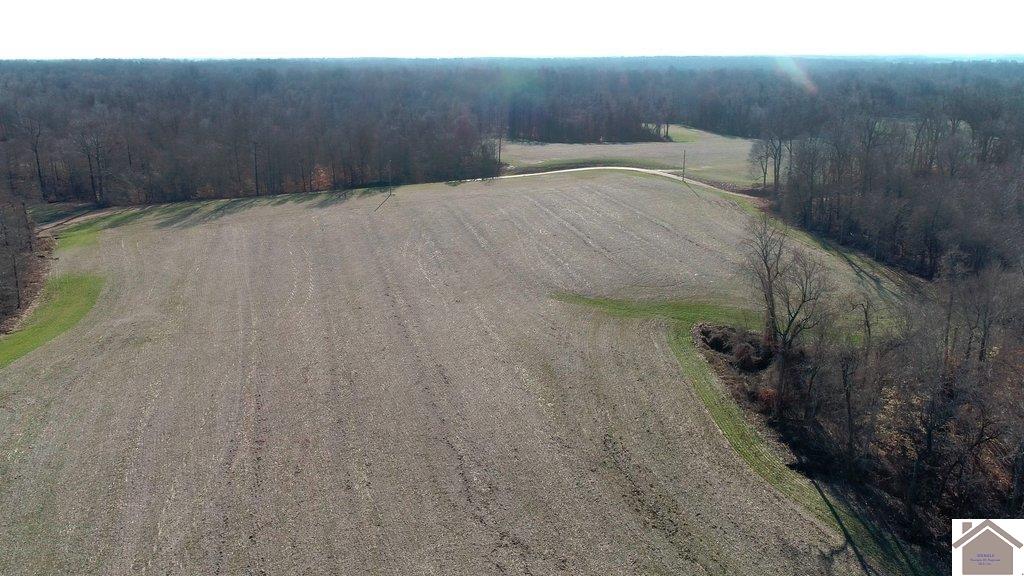 County Road 1220, Bardwell, KY 42023 Listing Photo  9