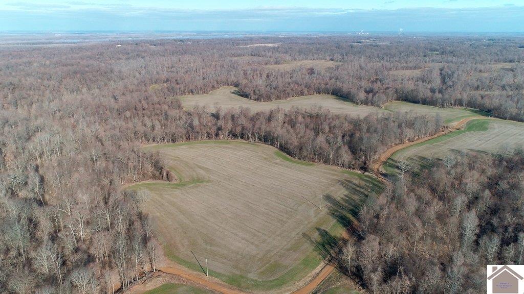 County Road 1220, Bardwell, KY 42023 Listing Photo  10