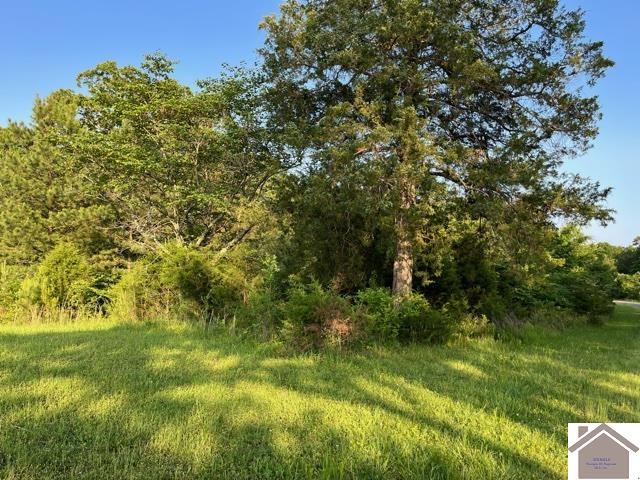 Lot 96 Briarfield Road South, Murray, KY 42071 Listing Photo  1