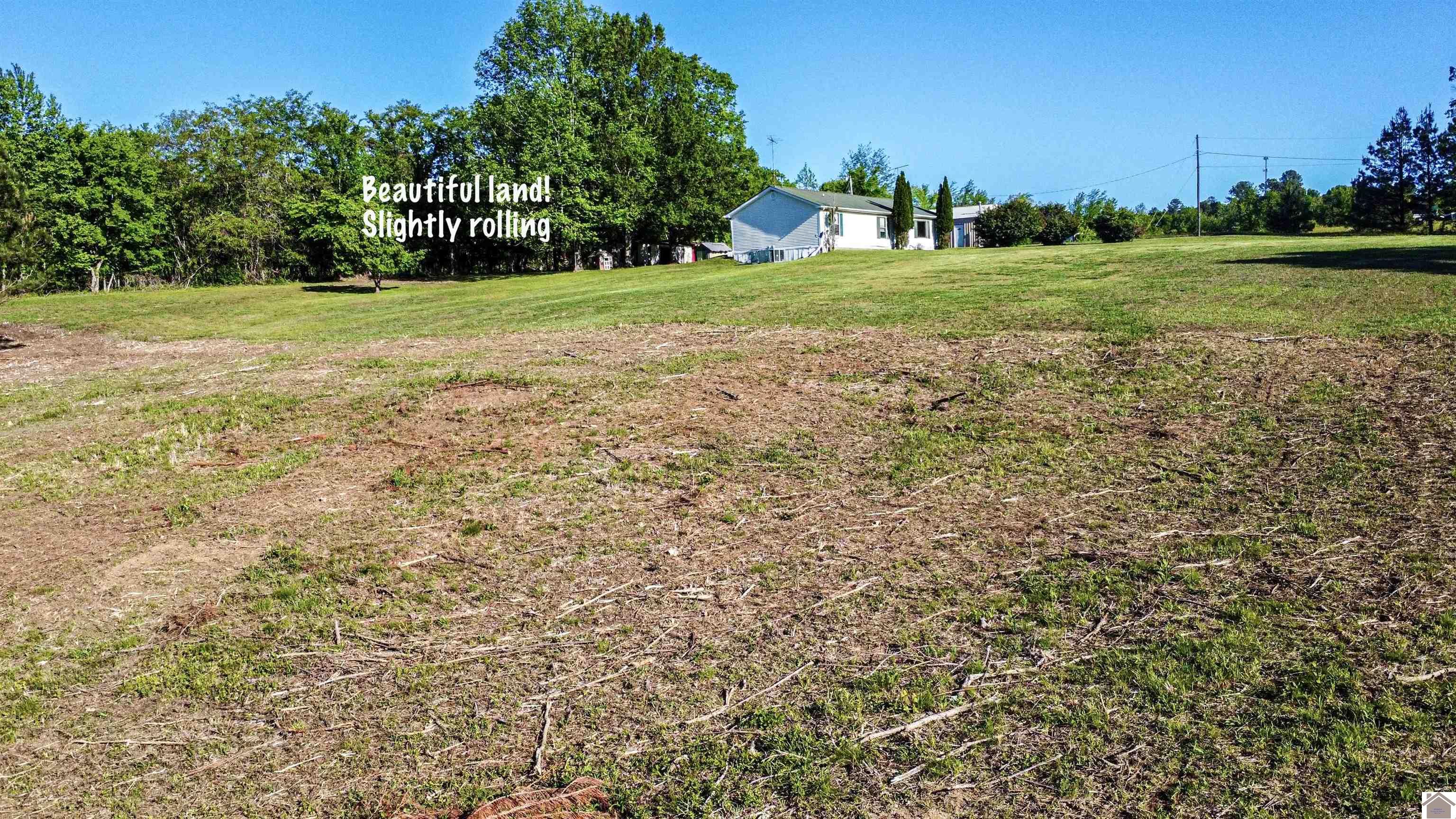 888 Heater Store Road, Smithland, KY 42081 Listing Photo  8