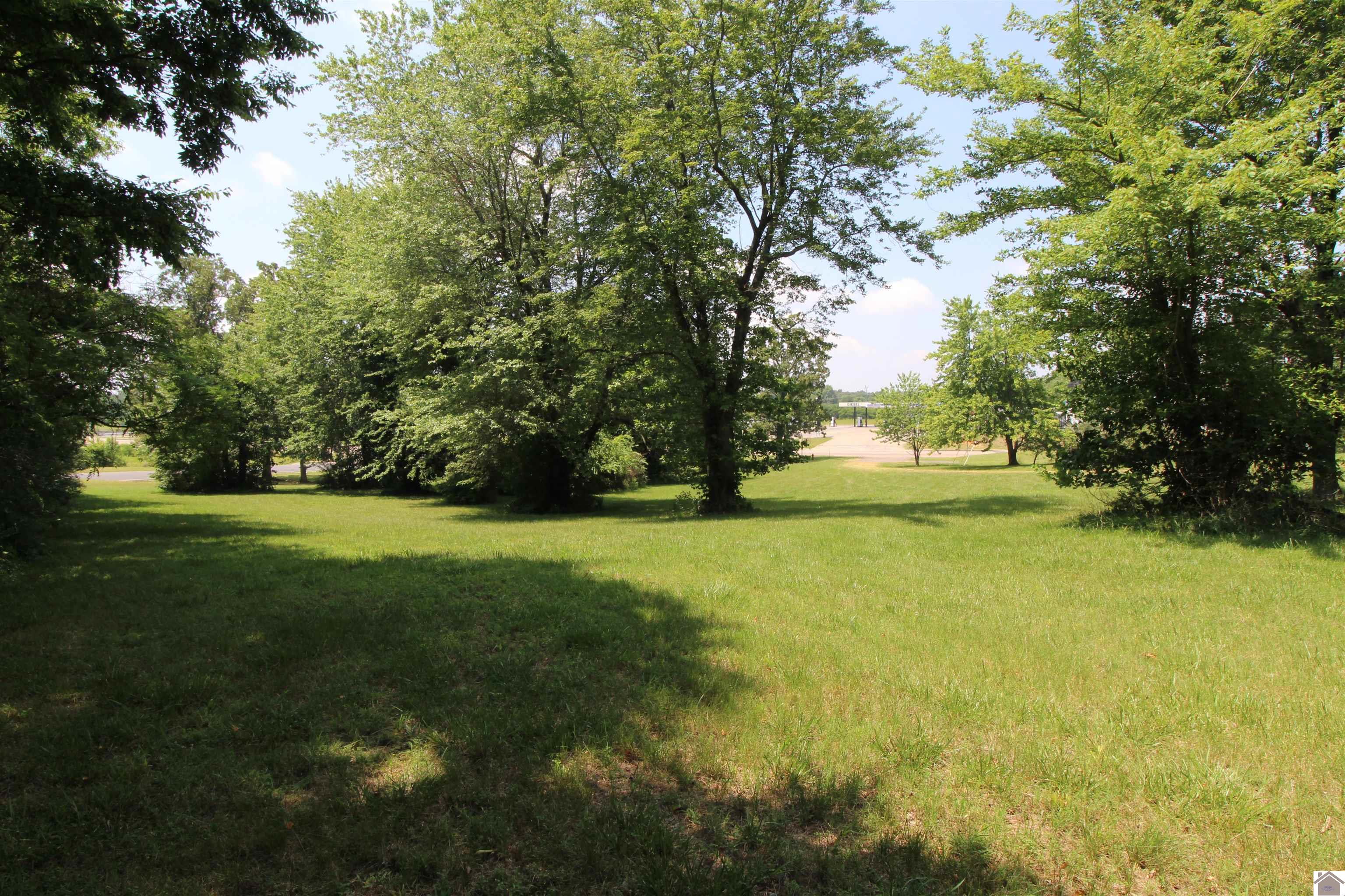 00 N State Route 121, Mayfield, KY 42066 Listing Photo  13